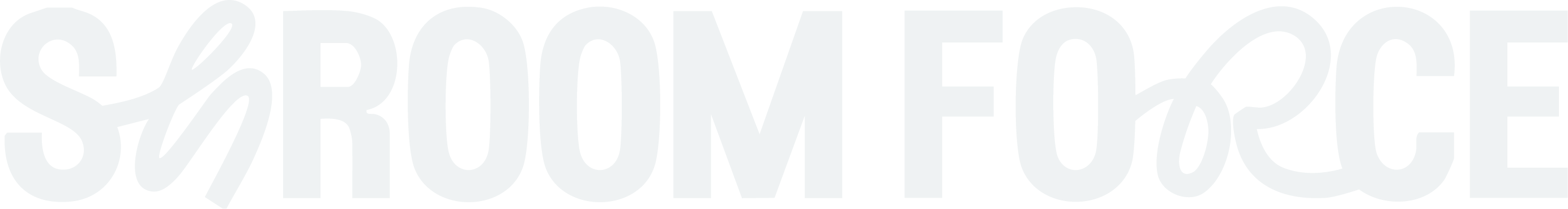 White 'Room Force' logo on a black background